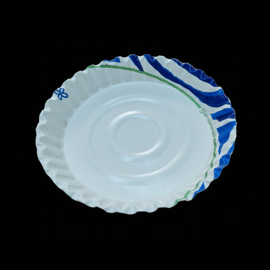 Eat & Throw Paper Plate – Pack of 18