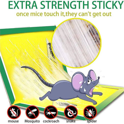 Truble Gum Mouse Trap